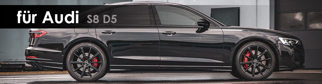 Audi S8 D5 - 2019 | Capristo - Downpipes mit 250 Zellen Sporkatalysatoren