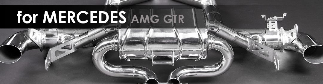 AMG GTR | Capristo - Remote Kit E2E incl. harness and remote controller