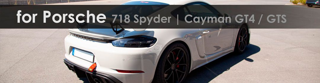 718 Spyder|Cayman GT4 | Capristo - Sportkats 100 Zellen (ersetzt den OEM Partikelfilter)