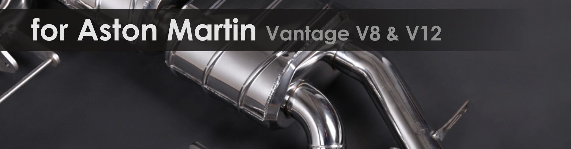 Vantage V8 & V12 | Capristo - Programmierbare Steuerung EVCU-1 Non-ECE/Export-Version