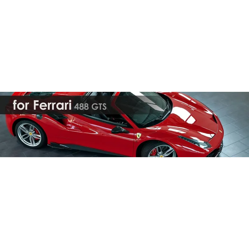 488 GTS | Exhaust System | Capristo - 2x discs star-shaped 11mm (front or rear), titanium screws, part certificates