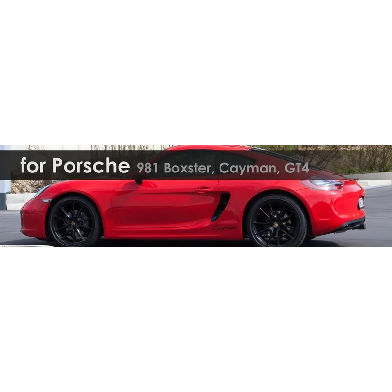 981 Boxster, Cayman, GT4 | Capristo - Abgaskrümmer mit 250 Zellen Sport-Katalysator