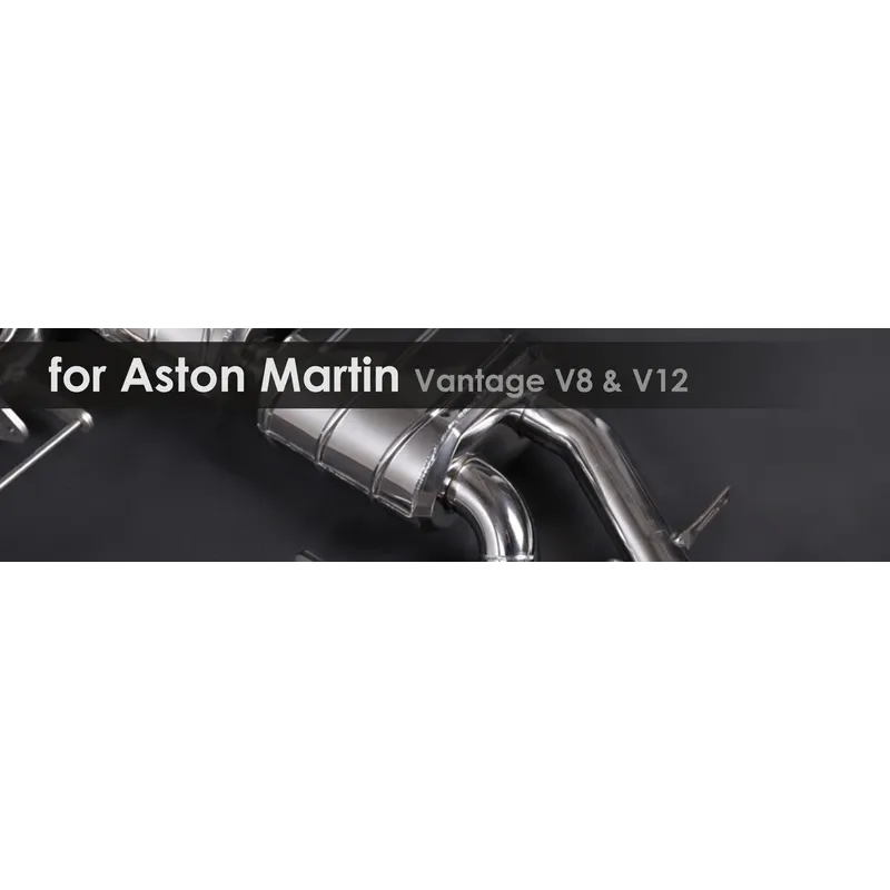 Vantage V8 & V12 | Capristo - Programmierbare Steuerung EVCU-1 Non-ECE/Export-Version